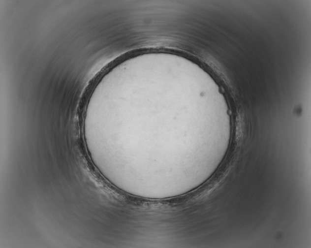 X0000116510876200912231231