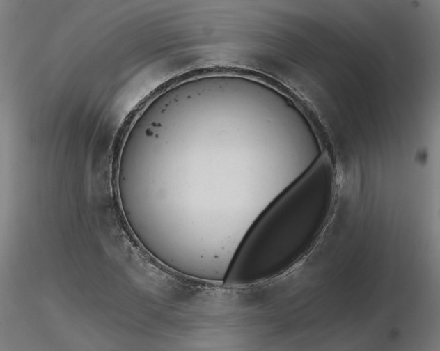 X0000116510877200912231231