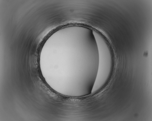 X0000116510878200912231231