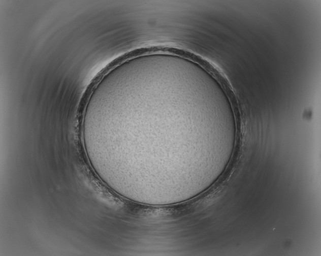 X0000116510879200912231231