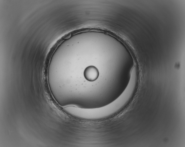 X0000116510880200912231231