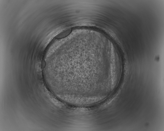 X0000116510881200912231231