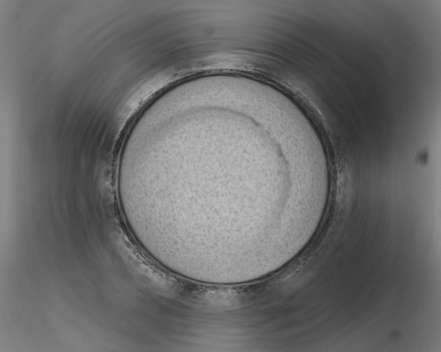 X0000116510882200912231231