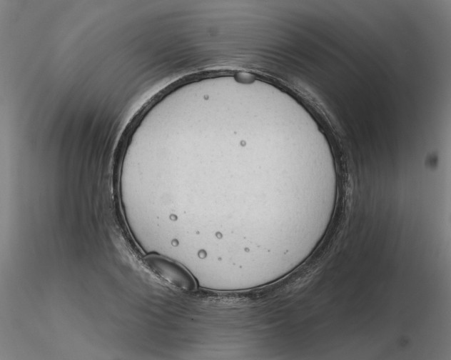 X0000116510884200912231231