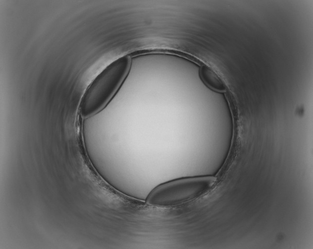 X0000116510885200912231231