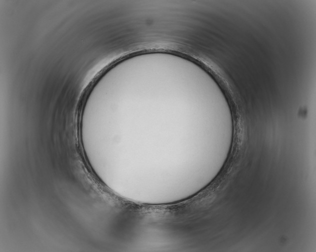 X0000116510886200912231231