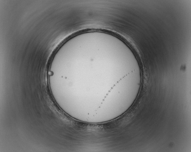 X0000116510887200912231231