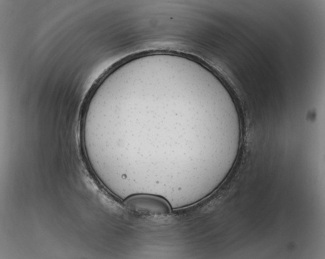 X0000116510888200912231231