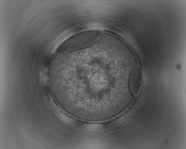 X0000116510889200912231231