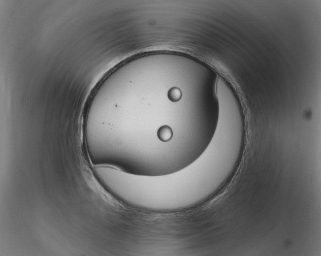 X0000116510892200912231231