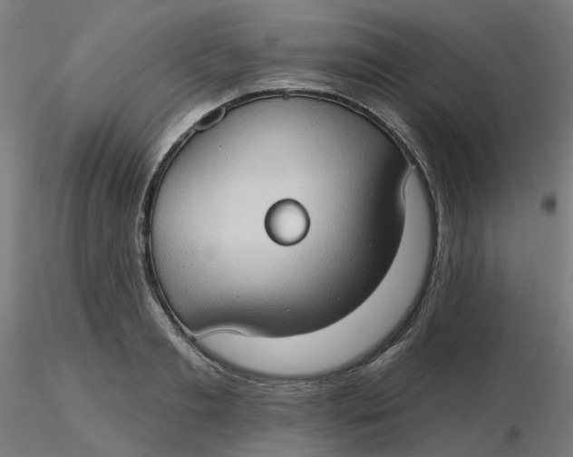 X0000116510893200912231231