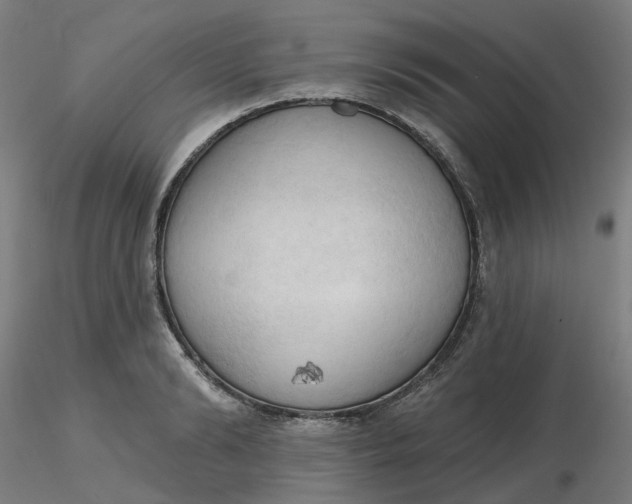 X0000116510894200912231231