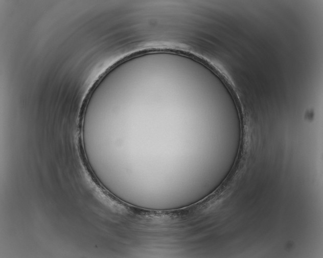 X0000116510895200912231231