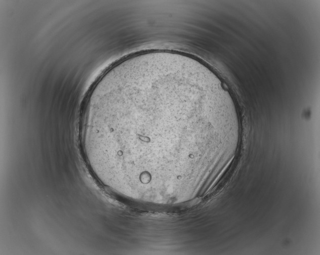 X0000116510896200912231231