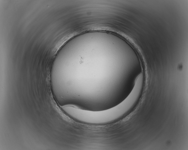 X0000116510897200912231231