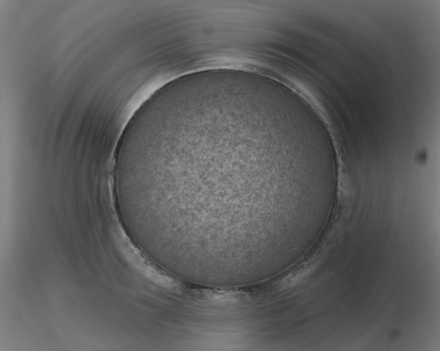 X0000116510899200912231231