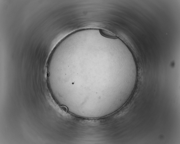 X0000116510900200912231231