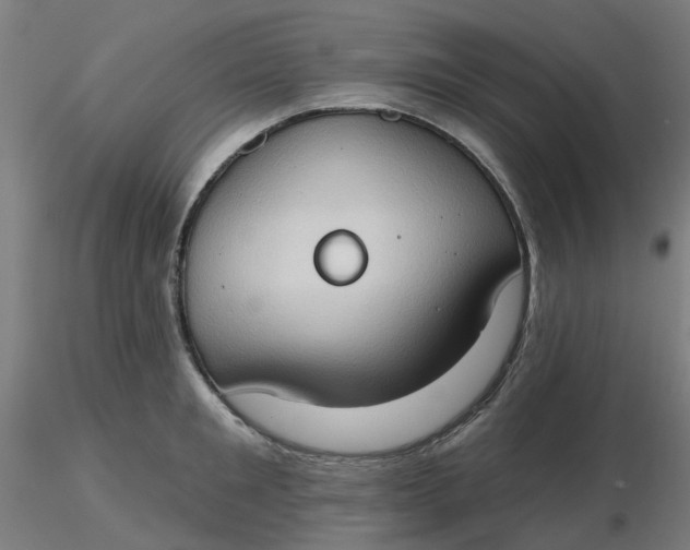 X0000116510901200912231231