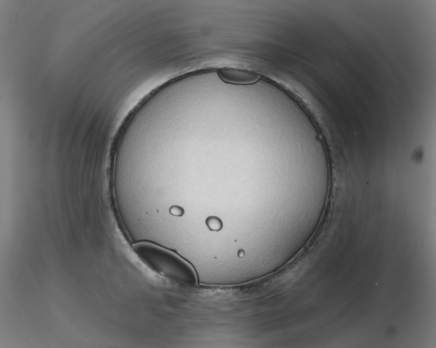 X0000116510902200912231231