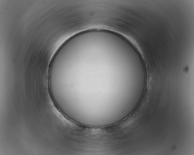 X0000116510903200912231231