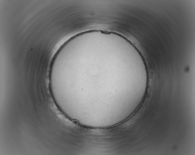 X0000116510904200912231231