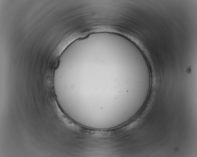 X0000116510905200912231231