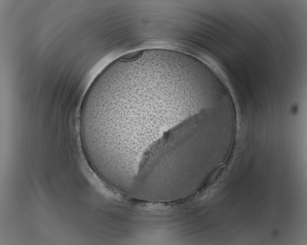 X0000116510907200912231231