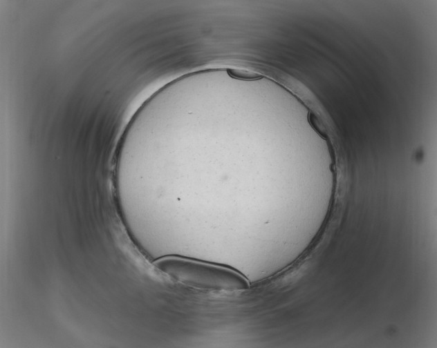 X0000116510908200912231231