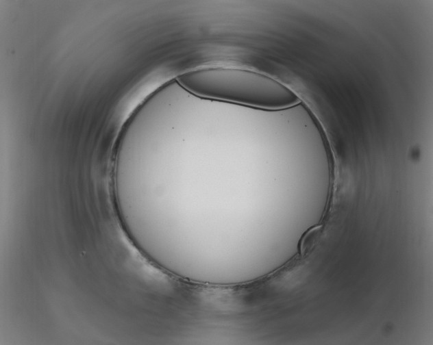 X0000116510909200912231231