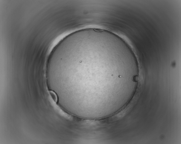 X0000116510910200912231231