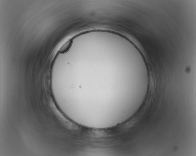 X0000116510911200912231231