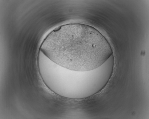 X0000116510912200912231231