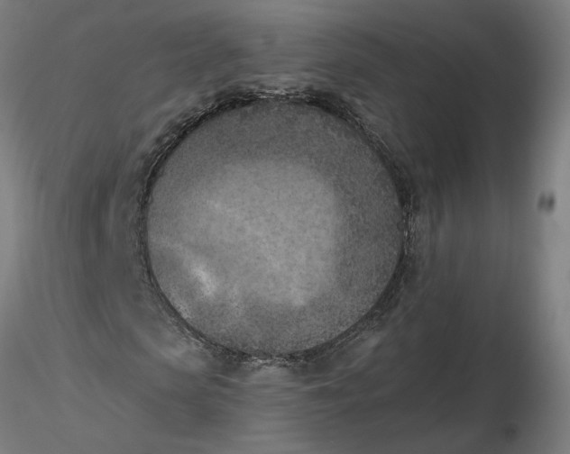 X0000116510913200912231230