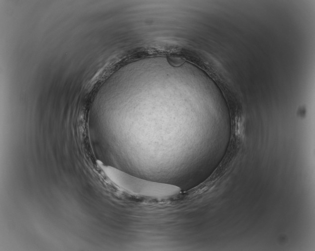 X0000116510915200912231230