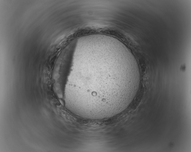 X0000116510917200912231230