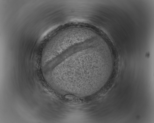 X0000116510919200912231230