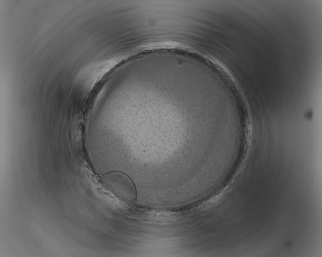 X0000116510921200912231230