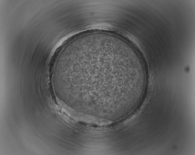 X0000116510923200912231230