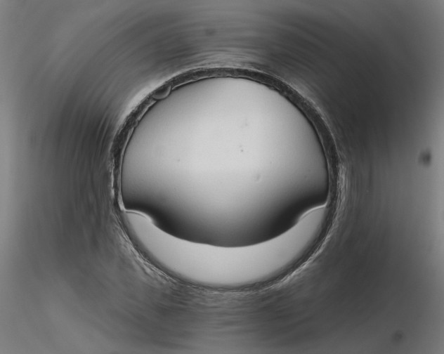 X0000116510925200912231230