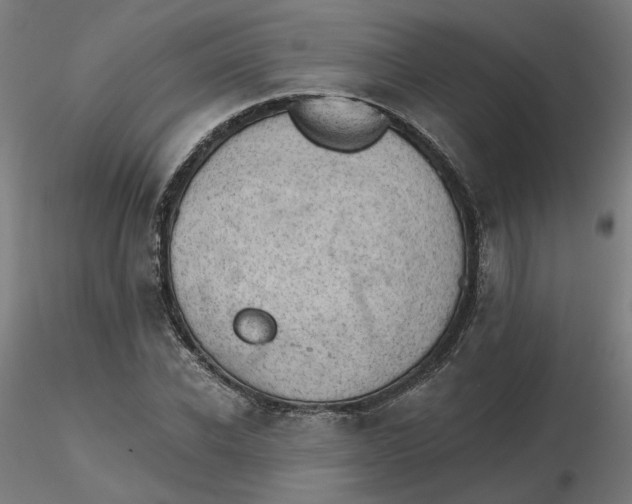 X0000116510926200912231230