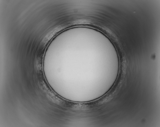 X0000116510929200912231230