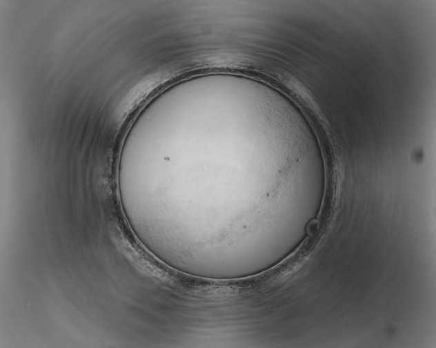 X0000116510930200912231230