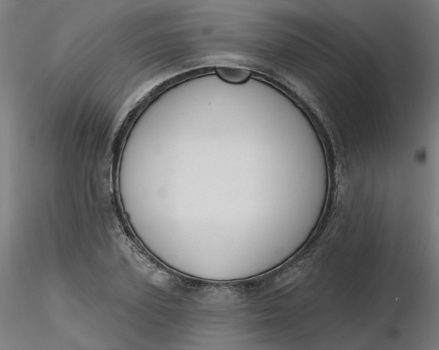 X0000116510931200912231230