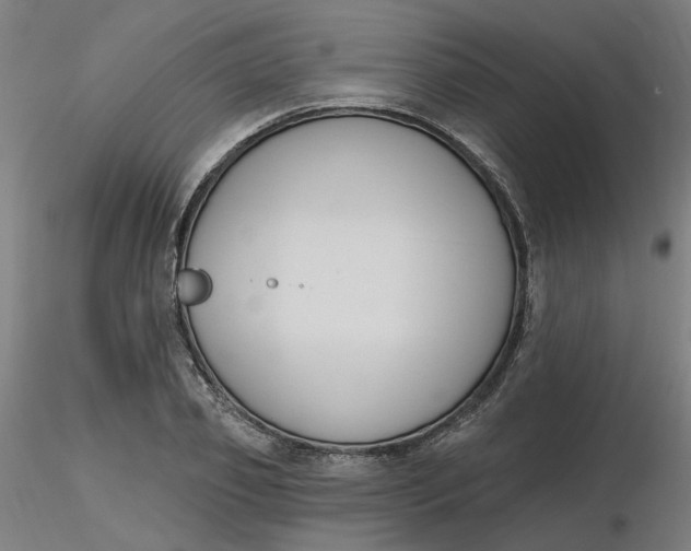 X0000116510933200912231230