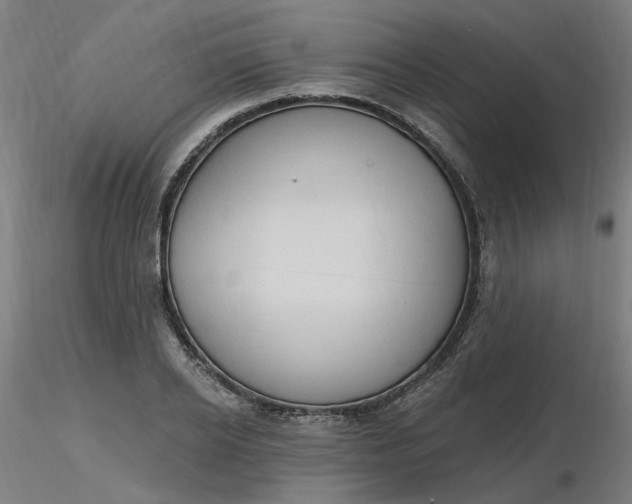 X0000116510934200912231230