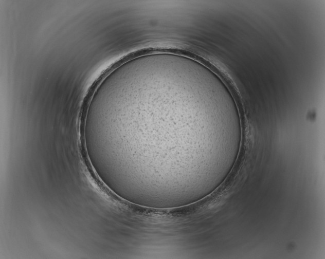 X0000116510935200912231230