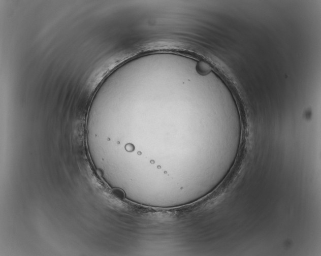 X0000116510937200912231230