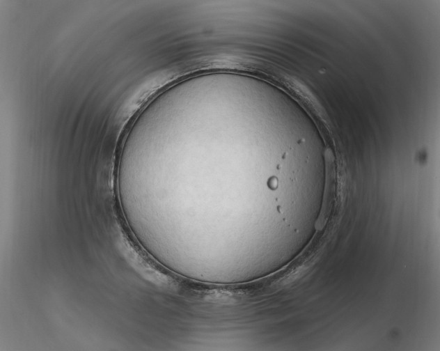 X0000116510938200912231230