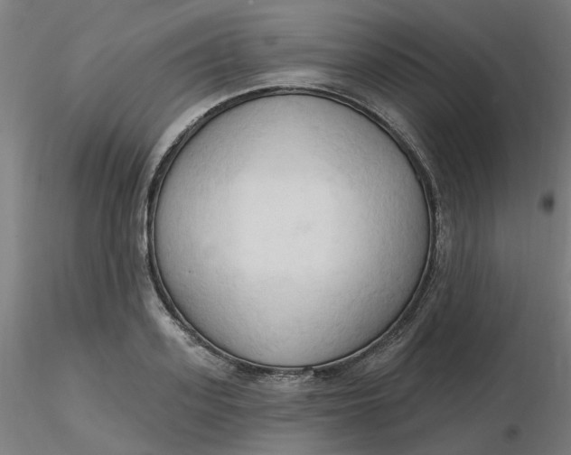 X0000116510939200912231230