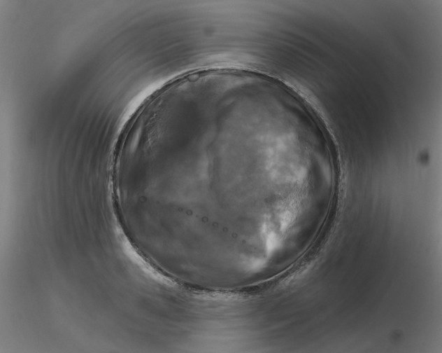 X0000116510941200912231230